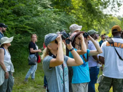 Black Belt Birding Festival