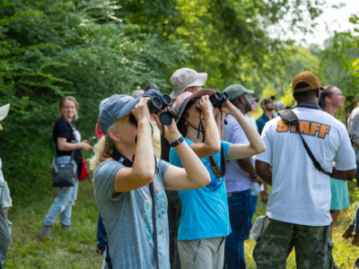 BLACK BELT BIRDING FESTIVAL